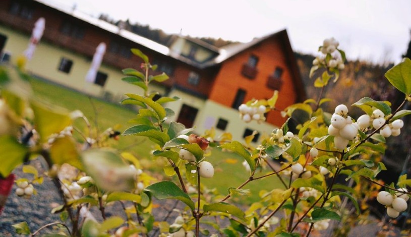 Wellness hotel Sauna Malá Morávka